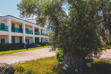 Güzel tatil beldesi. Yeşil ve çiçekler