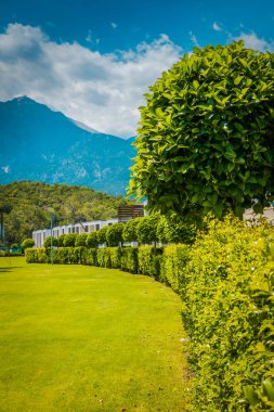 Güzel tatil beldesi. Yeşil ve çiçekler