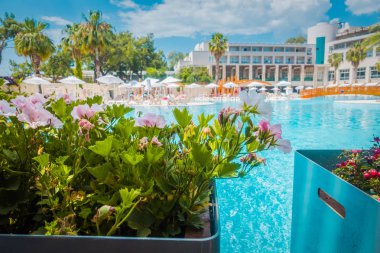 Güzel tatil beldesi. Yeşil ve çiçekler