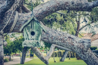 Muhteşem sahil resort manzaralar