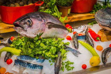 Balık Restoran görüntülemek