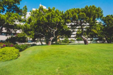 Güzel tatil beldesi. Yeşil ve çiçekler