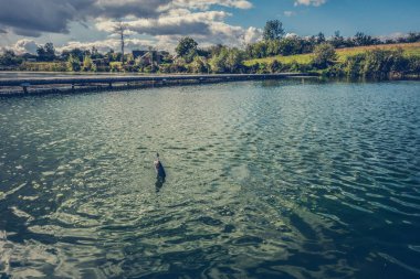 hobi - alabalık balıkçılık arka plan