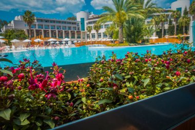 Güzel tatil beldesi. Yeşil ve çiçekler