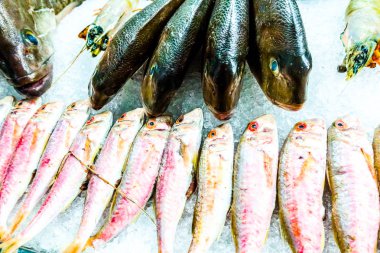 Bir balık restoranında buzda balık