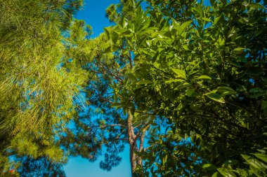 Muhteşem sahil resort manzaralar