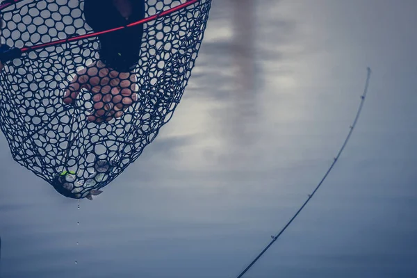 Hobby Pesca Alla Trota Sfondo — Foto Stock