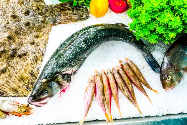 바다 레스토랑에서 신선한 생선 — 스톡 사진
