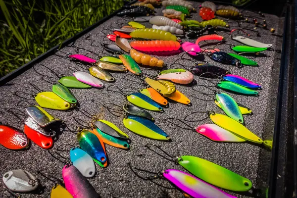 Pescador captura trucha arco iris del lago — Foto de Stock