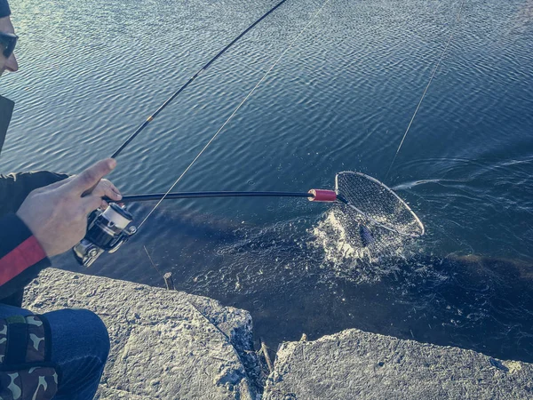 Pesca de lucio en el lago. Recreo de pesca — Foto de Stock