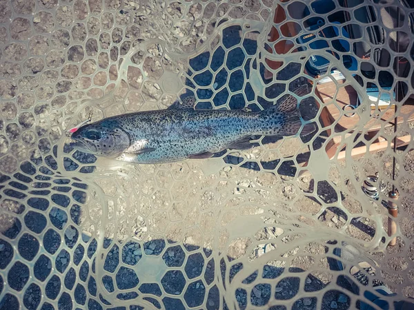 A pescar. Pescador e truta . — Fotografia de Stock