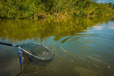 hobi- alabalık balıkçılık arka plan