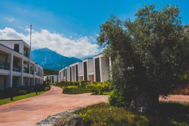 Güzel tatil beldesi. Yeşil ve çiçekler