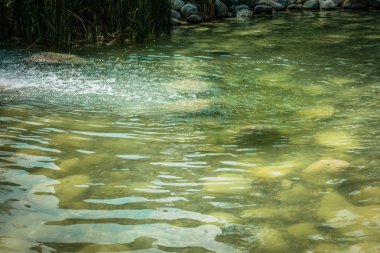 Deniz kenarındaki güzel resort peyzaj