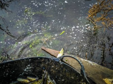 Bir balıkçı tema arka plan