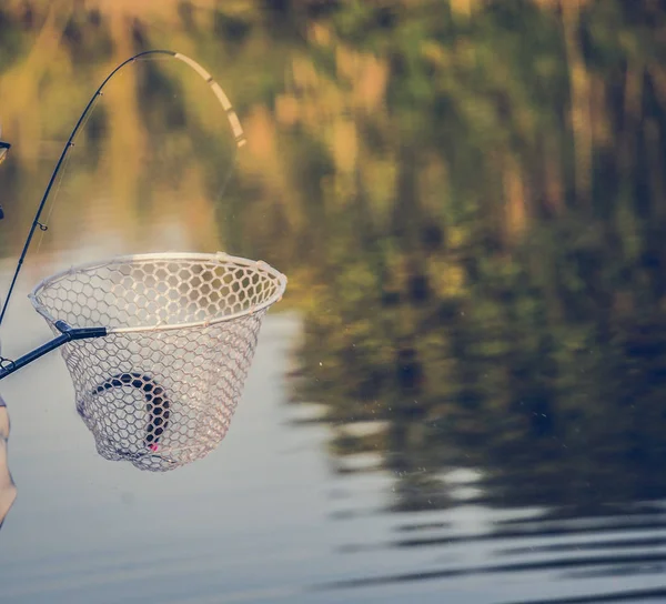 Hobby Fondo Pesca Della Trota — Foto Stock