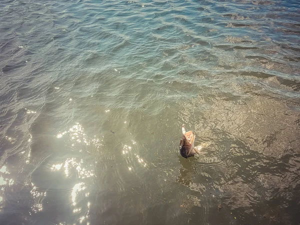 Angeln auf dem See — Stockfoto