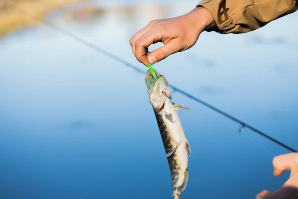 Pike horgászik a tavon. Halászati szabadidő — Stock Fotó