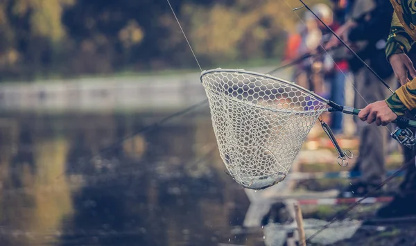 Hobby Forel Vissen Achtergrond — Stockfoto