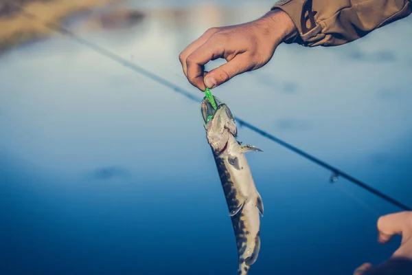 Gölde balık avlamak. Balıkçılık eğlencesi — Stok fotoğraf