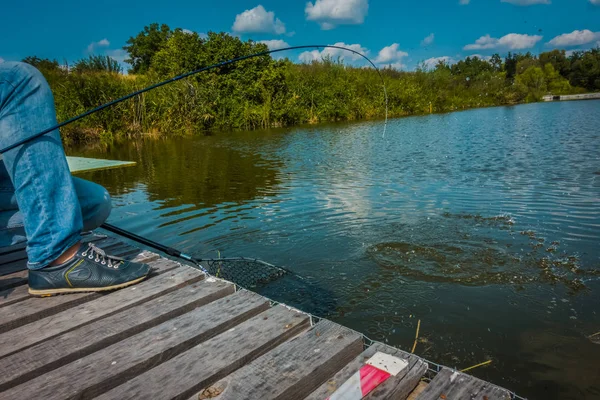 Hobby Fondo Pesca Trucha —  Fotos de Stock