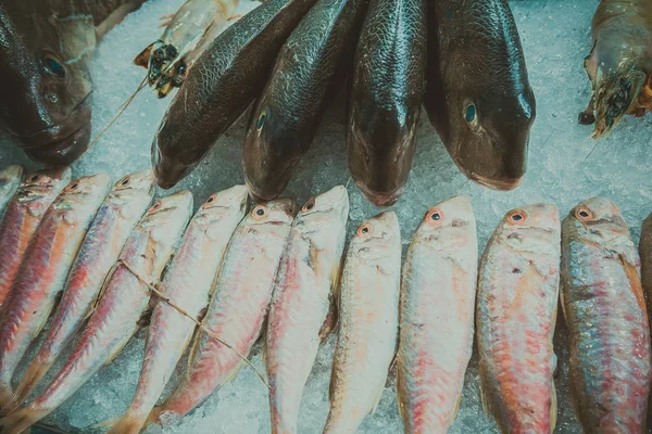 Peixe no gelo em um restaurante de peixe — Fotografia de Stock