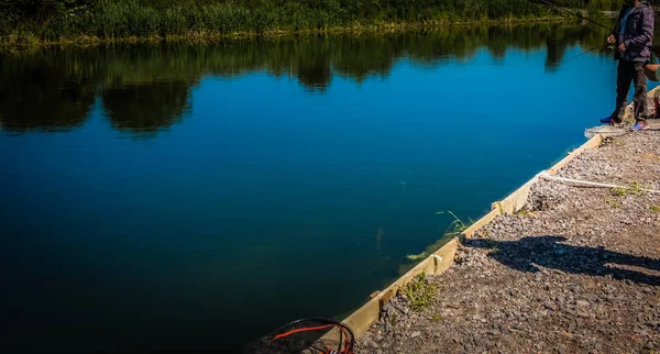 Pescador captura trucha arco iris del lago —  Fotos de Stock