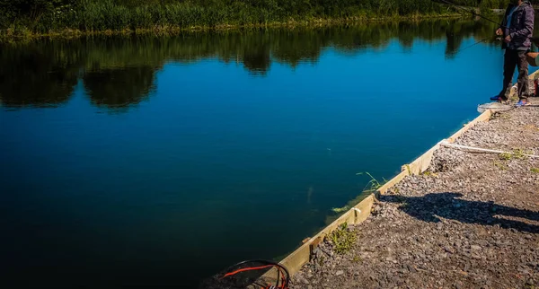 Pescatore cattura trota iridea dal lago — Foto Stock