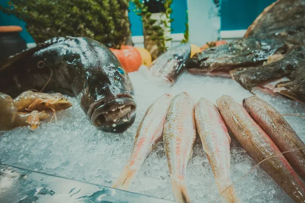 Ryby na ledě v rybí restauraci — Stock fotografie
