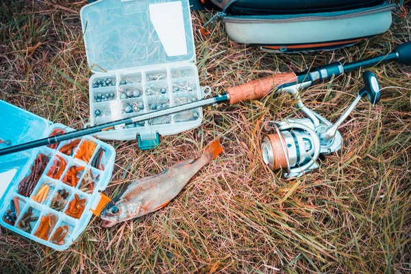 Conceito Pesca Atacar Vara Pesca Peixe Grama — Fotografia de Stock