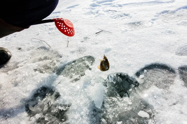 Jovem Pesca Por Lago — Fotografia de Stock