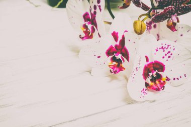 Ahşap beyaz zemin üzerine güzel çiçekler
