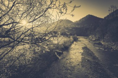 Şık nehir ve dağ manzarası