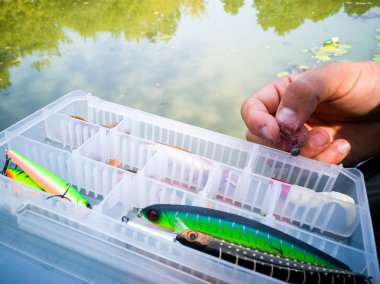 bir kutuiçinde balık için yem