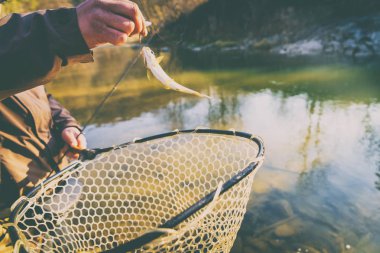 Bir balıkçı tarafından alabalık yakaladı