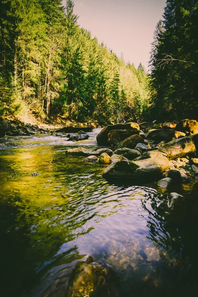 Nádherné horské řeky a lesní krajina — Stock fotografie