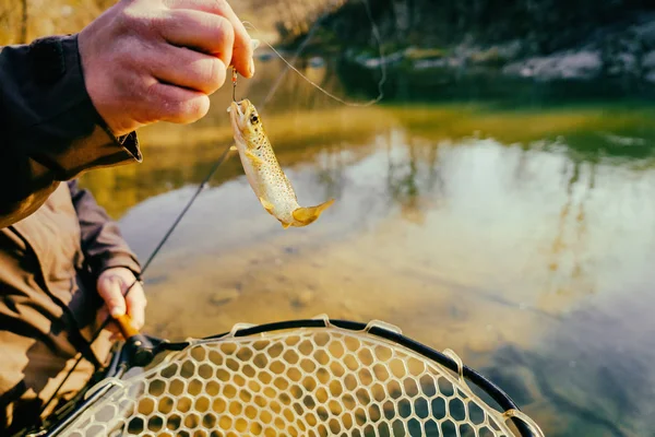 Trucha capturada por un pescador — Foto de Stock