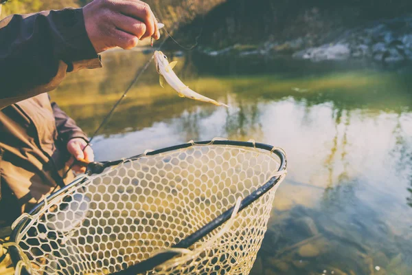 Bir balıkçı tarafından alabalık yakaladı