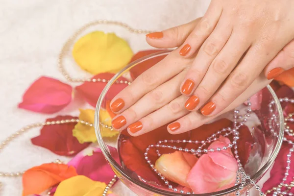 hands with red nails on rose petals bowl