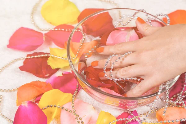 Mãos molhadas em uma tigela com unhas vermelhas em pétalas de rosa — Fotografia de Stock