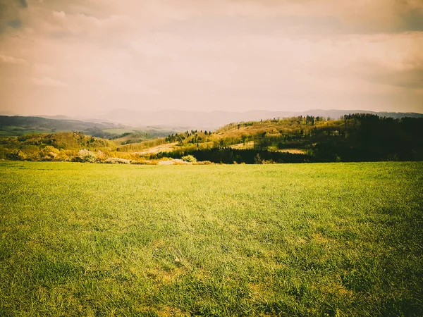 Magnifique nature, belles forêts et prairies — Photo