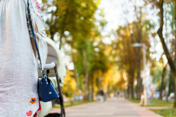 Madre con un cochecito en un paseo — Foto de Stock