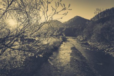 Şık nehir ve dağ manzarası