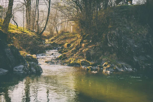 Magnificent landscape, mountain river, wildlife — Stock Photo, Image