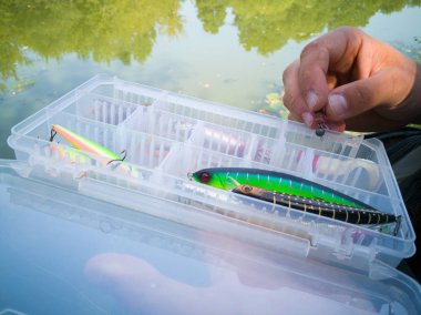 bir kutuiçinde balık için yem