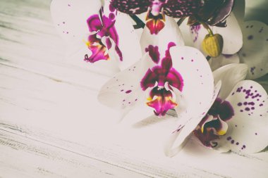 Ahşap beyaz zemin üzerine güzel çiçekler