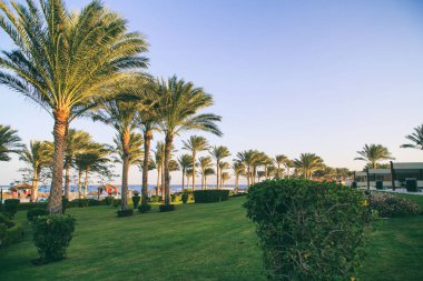 Tatil köyünün güzel toprakları