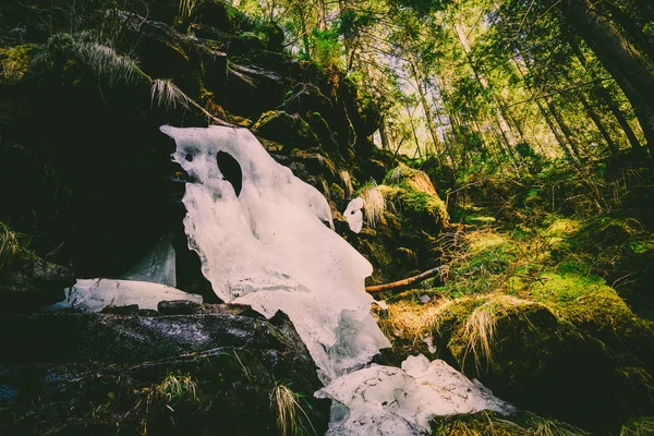 Magnificent mountain river and forest landscape — Stock Photo, Image