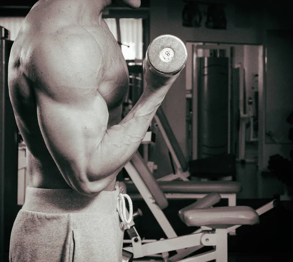 Duże bicepsy z hantlami — Zdjęcie stockowe