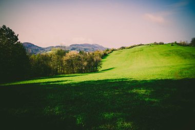 Dağlık arazinin zarif görünümü